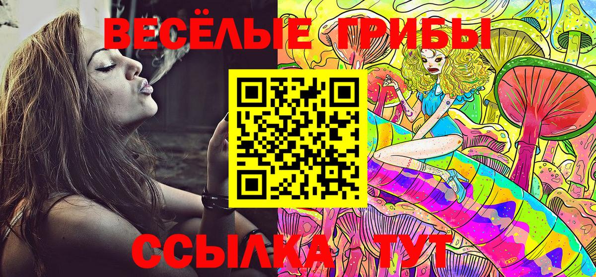 Скопин  магазин  наркотиков  Псилоцибиновые грибы прущие грибы  Вход с VPN  Галлюциногенные грибы GOLDEN TEACHER 